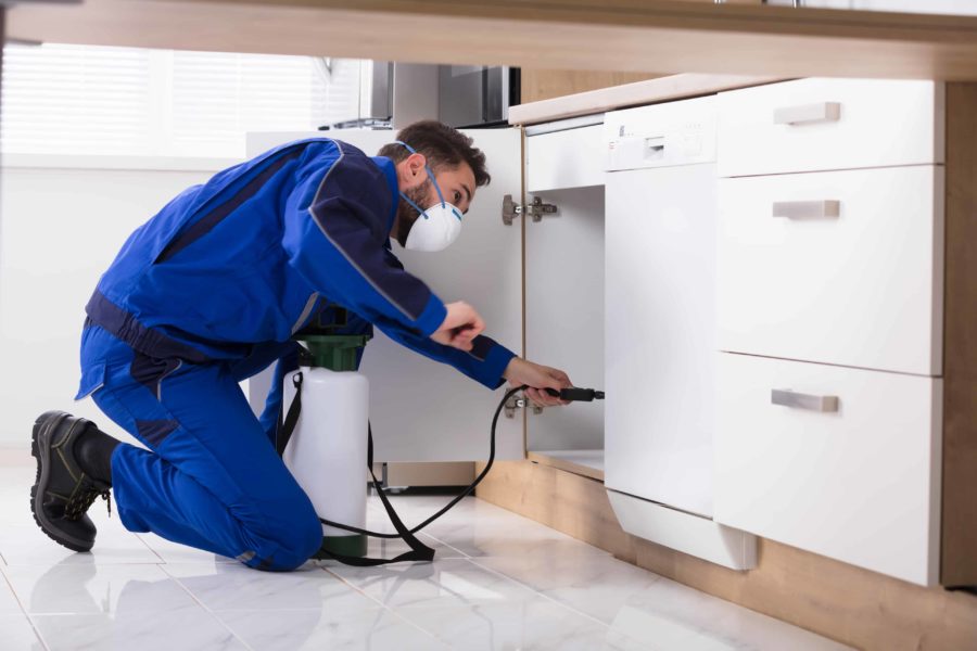 A man in blue overalls spraying white cabinets.